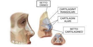 rinosettoplastica